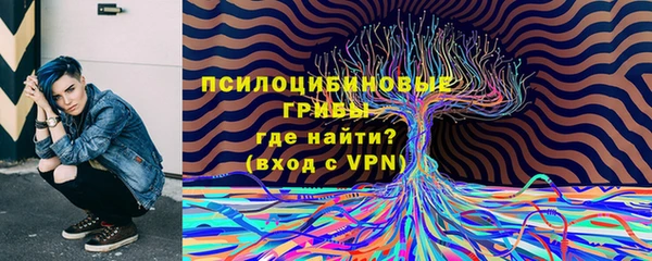 круглые Вязьма