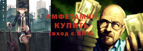 твердый Вяземский