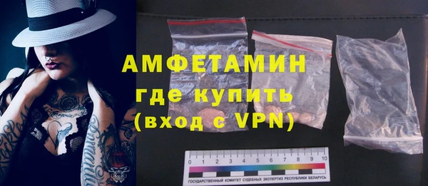 твердый Вяземский